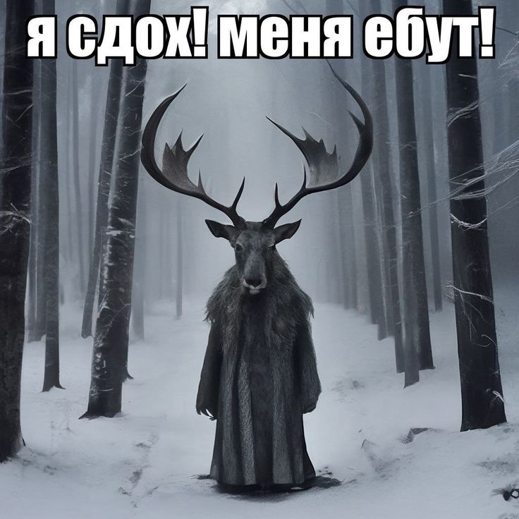 209d6c7eccd74d139961632be5d0f047.jpg