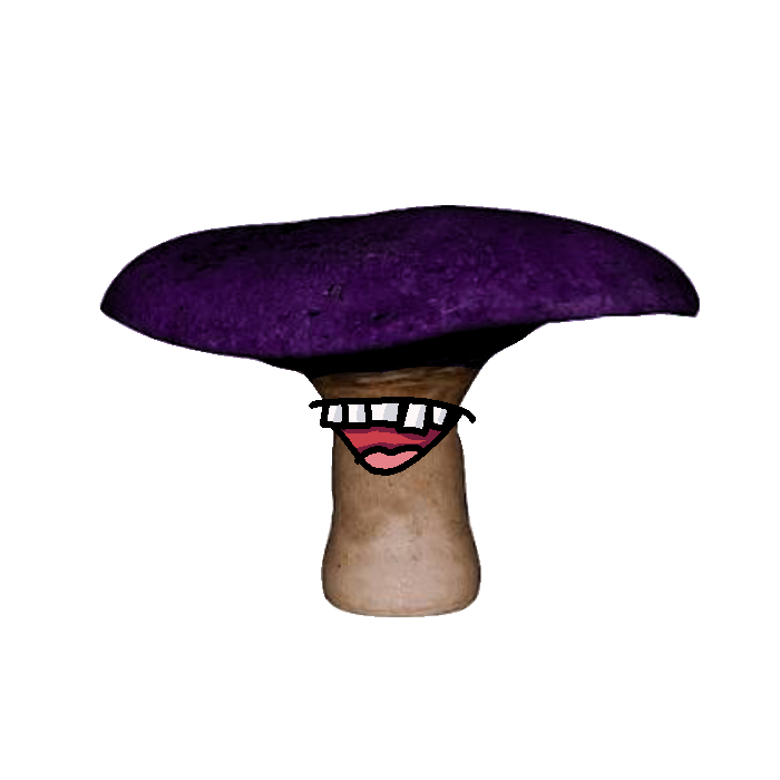 c57673fa938341cd98ecd1f13a60e534.png